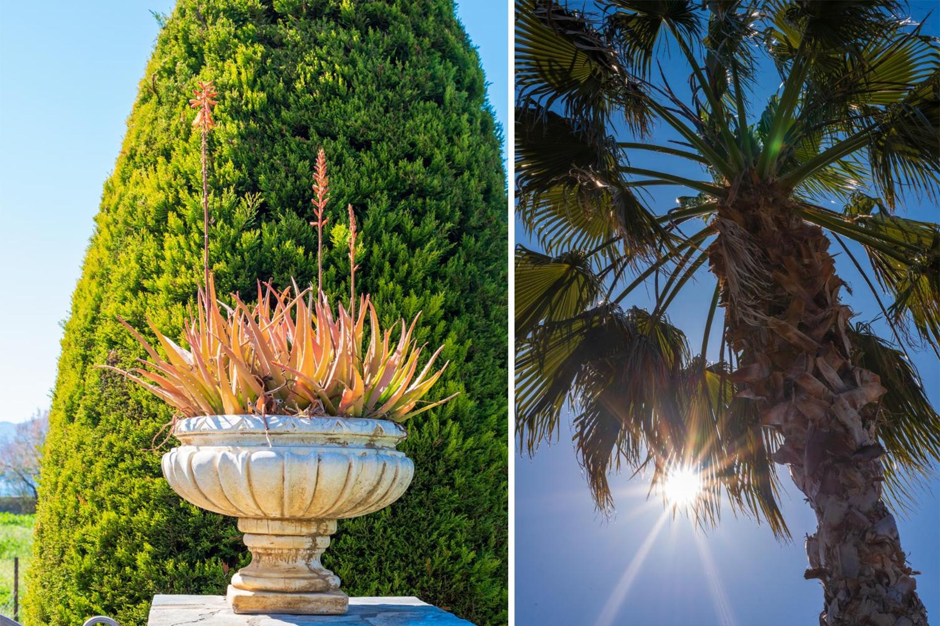 Appartamento Christina'S Twin Palm Trees House Agria Esterno foto